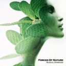 Forces Of Nature - Psilocybin