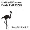 Ryan Emerson - Ryan Emerson VS Maceo Plex (Original Mix)