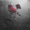Insomnia - Thorns (Original Mix)
