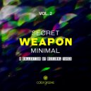 PushPull - Realy Mini (Original mix)