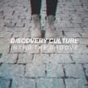 Discovery Culture - Intro The Groove (Original Mix)