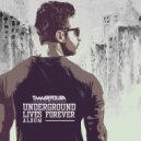 Tamer Fouda - Corruption