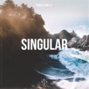 Turkez & WILL B - Singularity (Original Mix)