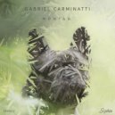 Gabriel Carminatti - Little Sun (Original Mix)