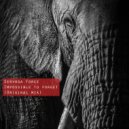 Seryoga Force - Impossible to forget (Original mix)