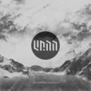 LP77 - The Torus Effect