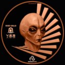 Enzo Gallo - V.E.S