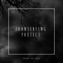 Transerfing Project - Mantis (Original Mix)