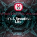 Ace Of Base & Axe-D feat. Dima Sochan - It's A Beautiful Life