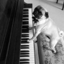 less.people - We used to talk all the time