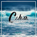 C.H.A. - Subliminal Criminal