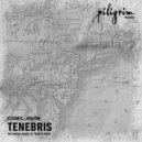 Cosmic_Vision - Tenebris (Mores Amar Remix)