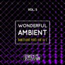 Miguel Serrano - Playground (Simone Bica Remix)
