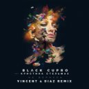 Black Cupro & Кристина Стельмах - Не Вернусь (Vincent & Diaz Remix)