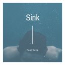 Paul Kane - Sink