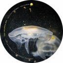 Black Tetra - Eris feat. Plastique (Original Mix)