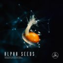 34SE - Discovery