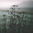 Insomnia - By My Side (Original Mix)