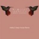 Nimiche - Identity