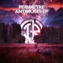 Perimetre - Flat Earth