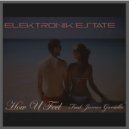 Elektronik Estate & James Garielle - How U Feel (feat. James Garielle) (Original Mix)