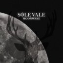 Sole Vale - In The Deep