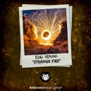 Echo Demand - Strange Fire