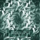 Lasha & Lasha - Apogee