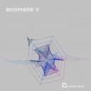 Endorfina - Confluence