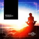 InnerSync - Tranquility (Original mix)