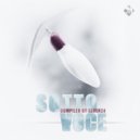 Sinoptik Music - Absorbed by the Fog