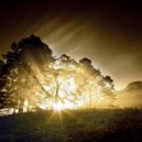 Angeloider - Rought Light