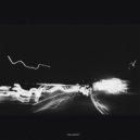 Dead Yucca - You Might