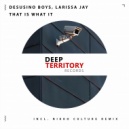 Desusino Boys & Larissa Jay - That Is What It