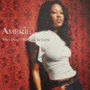 Amerie - Why Don\'t We Fall In Love (Casual Connection Rework)
