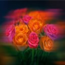 Dj Vl Raccoon - Transfer (original)