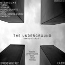 Pedro Duarte - Roundit