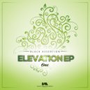 Black Assertion - 5th Avenue