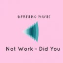 Not Work - Did You (Original Mix)