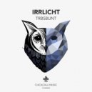 TrbsBunt - Irrlicht (Original Mix)