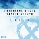 Dominique Costa & Daniel Aguayo - Salix