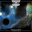 Shamans of Sound - Shamans of Sound (Instrumental)