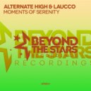 Alternate High - Moments of Serenity (Original Mix)