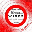 Peter Wok - Wires (Rispetto Musiq Remix)