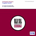 Christopher Hermann - Forgotten Past