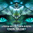 Hermetic Sounds & Psymithra & Zarathushtra - Digital Culture (Original Mix)