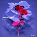 Antent & Tydo - Flowers (Original Mix)