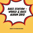 Bass Station - Stanton (Original Mix)
