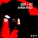 S L F & ASOY - NINAH (AD:mE Remix)