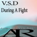 V.S.D - During A Fight (Original Mix)